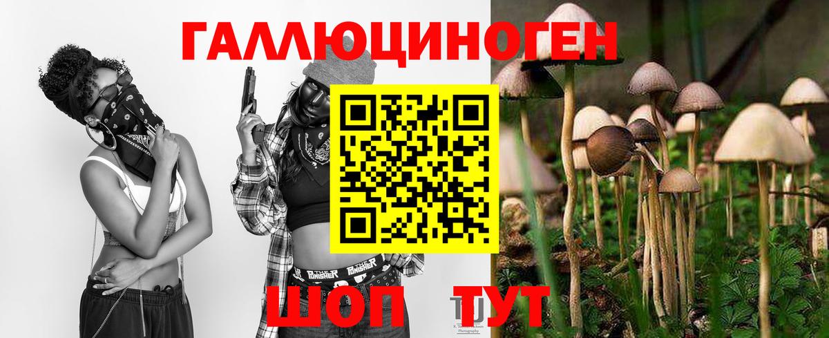 Псилоцибиновые грибы Cubensis Кондопога