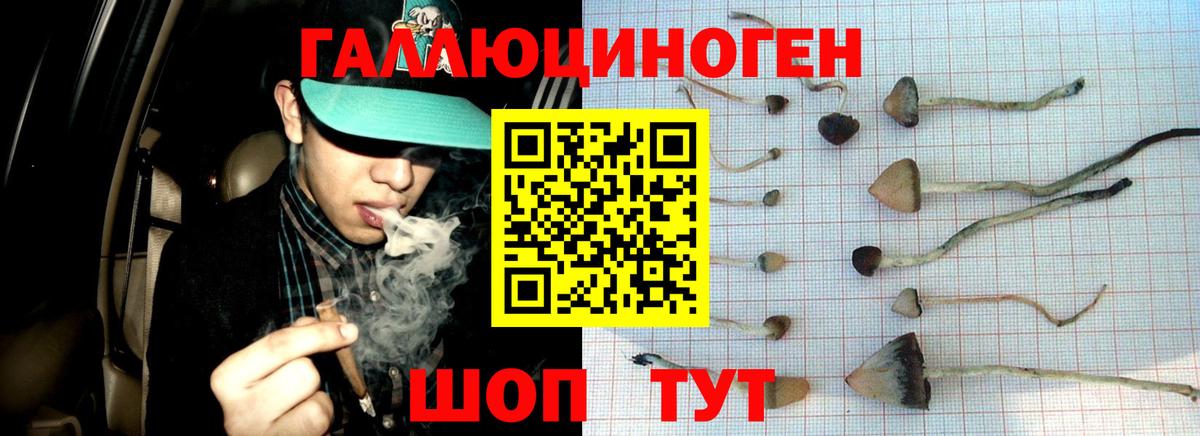 Псилоцибиновые грибы прущие грибы  Вход с VPN  Галлюциногенные грибы Cubensis  Кондопога 